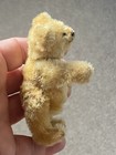 Rare Sweet Early Antique C 1930s Steiff Miniature Blonde Bear 3 5    No Id Look
