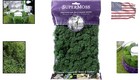 Reindeer Moss Preserved Forest Green 2oz For Home Decor Craft Projects