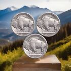 Lot Of 3 Buffalo Nickel Coins With Full   Different Dates Fast Free Shipping