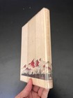 In The Days Of Victorio Recollections Of Warm Springs Apache Hardcover 1st 1970