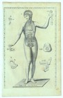 18th Century Anatomical Illustrations - Pair Of Original Prints - Found In Rome