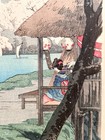  cherry Blossoms At Sumida River  Woodblock Print Takahashi Hiroaki  shotei 