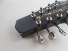 Ventura Mandolin Vmd2-chy With Case