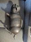 Vintage Large Metal Piggy Bank Very Heavy  Screw On Stopper