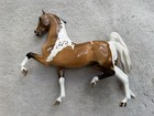 Stunning Peter Stone Horse    springamathing    Glossy Buckskin Pinto Saddlebred