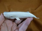 Whal-w132 Large Sperm Whale Of Shed Antler Figurine Bali Detailed Carving