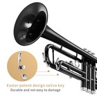 Eastar Etr-380 Bb Standard Trumpet With Hard Case   Accessories Mouthpiece Black