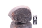 Nwa Xxx Meteorite 160 Grams Chondrite Very Nice For Display  Very Fresh Crust 
