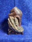 Tiki Mug Eekum Bookum Thor Tiki Bob Diver  90 Creature From The Black Lagoon 038