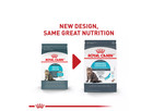 Royal Canin Feline Care Nutrition Urinary Care Adult Dry Cat Food  14-lb Bag