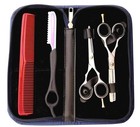 Salon Hair Cutting thinning Scissors Barber Shears Hairdressing Set