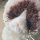 Gund Grumpy Cat Plush Stuffed Animal Small 6-14 In White brown 4040133