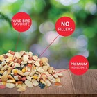 Fruit And Nut Wild Bird Seed - High Energy Wild Bird Food Mix - Attracts Wood   