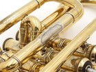 Bach Cornet 184ml  Gold-plated Finish  238335 