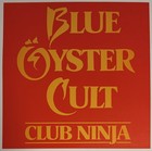 Blue   yster Cult Club Ninja 12x12 Record Store Promo Poster Flat 2sided 1985 Boc
