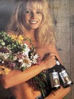 Vintage Stroh   s Beer Poster Sexy Blonde Beer Babe Nos