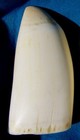  6  Whale Tooth  imitation Replica  Engraving