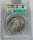 1879-s Morgan Silver Dollar  Pcgs Ms63   looks Proof-like 