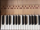 Full Set Of 88 Piano Keys   Replacement Keys From Console Piano