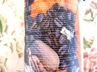  wen By Chaz Dean  fall Pumpkin Pecan Latte cleansing Conditioner 16 Oz  W pump 