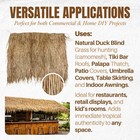 Amazulu Inc  Amazulu Mexican Palm Thatch Roll 35 X 10ft Natural Tiki Bar Palapa