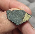 Very Rare Phyllocarid Fossil Arthropod Crustacean Ordovician Age Idaho 