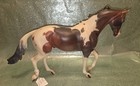 Peter Stone Test Paint Thoroughbred By Wendy Galbreath