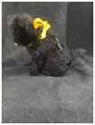 Adorable Vintage Wind Up Automaton Cat Kitten With Glass Eyes Doll Companion