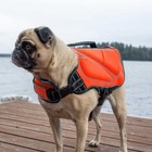 Silver Paw Neoprene Dog Life Jacket vest  Orange Size L  Xl
