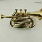  Antique Brass Golden Finish Pocket Trumpet Instrument Elegant Decorative