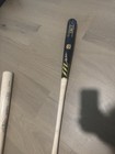 Lsu Coaches Johnson  Manieri    Bertman Signed Auto Lsu Tigers Championship Bat