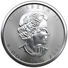 2020 1 Oz Canadian Silver Maple Leaf Coin