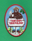 1984 Smokey The Bear Nos Prevent Wildfires Us Forest Service Patch Vintage