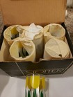 Mcm Glasses By Hj Stotter 6 Vtg Yellow Tulip Lemonade Plastic  acrylic Glasses