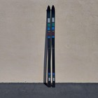 Promo Sticker  the Ski   Logo By Bobbie Burns Of Sun Valley  Idaho