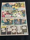  t09 Tarzan By Russ Manning Lot Of 32 Sunday Tabloid Full Page Strips 1974
