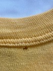 70s Russell Athletic Bobcats T-shirt Yellow Gold Tag Single Stitch Vintage M