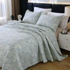 Durlengen Botanical Quilt Set California King Size 3pcs bluish Grey Printed W   