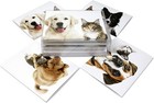 Furry Friends Dog And Cat Greeting Cards-blank Inside-5 5 x4 25 -12 Or 24 Packs