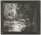 Landscape  Nature  River  Old Photo Glass Plate  Positive 8 5x10 Cm
