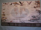 The World Map  Great Migrations National Geographic November 2010 