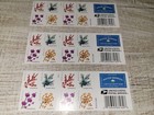  3   Books Of Us Winter Berries Booklet Of 20 Forever Stamps  60 Stamps Total