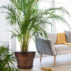 10 Inch Planters Plant Pots Indoor Outdoor  4 Pack Plastic