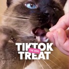 Bites Paw Lickin  Chicken Flavor Crunchy Cat Treats- 3oz