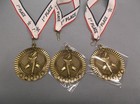Torch Star Award Medals     Gold Pdu36050     2        1st Place Ribbon     3   5-10 Packs