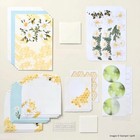 March 2025 Paper Pumpkin     Daisy Daydream Refill Only - No Stamp ink Stampin Up