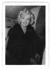 1952 Marilyn Monroe Vintage Snapshot Photo Type 1 W  Dimaggio Check