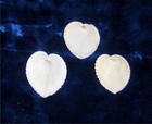 3 Pcs Heart Cockle Cardium Cardissa Sea Shells  Decor Nautical Beach Craft