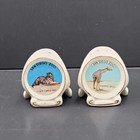 Vintage San Diego Zoo Giraffe Tiger Grizzly Salt Pepper Shakers Ceramic Souvenir