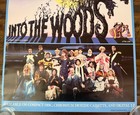 Rare Into The Woods Broadway Cast Recording Promo Poster Rca  Sondheim 28 75x18